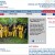 ALF website1