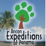 Ancon logo