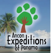 Ancon logo