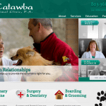 CAC website