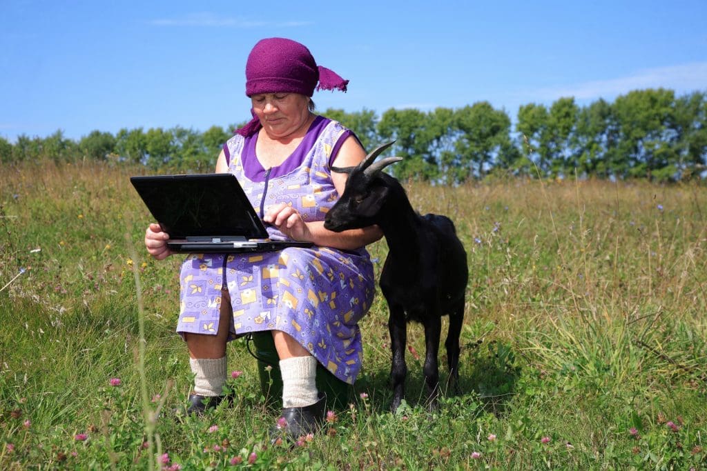 woman with laptop and goat