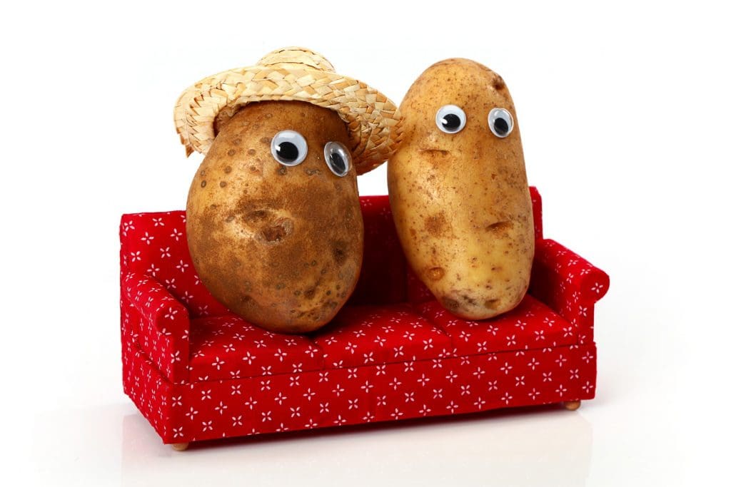 potatoes with googly eyes on sofa